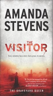 Produktbild: The Visitor