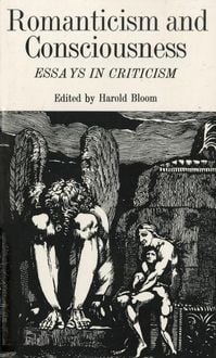 Produktbild: Romanticism and Consciousness