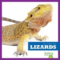 Produktbild: Lizards
