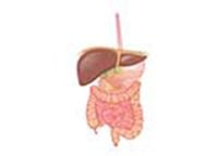 Produktbild: Glucose Tolerance Test
