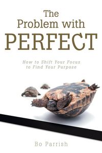 Produktbild: The Problem with Perfect