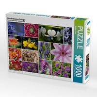 Produktbild: CALVENDO Puzzle Staudenblumen Collage | 1000 Teile Lege-Gr&ouml;&szlig;e 64x48cm Foto-Puzzle f&uuml;r gl&uuml;ckliche Stunden
