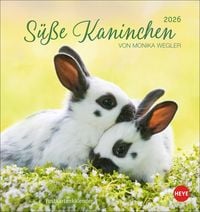 Produktbild: S&uuml;&szlig;e Kaninchen Postkartenkalender 2026