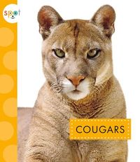 Produktbild: Cougars