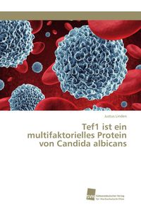 Produktbild: Tef1 ist ein multifaktorielles Protein von Candida albicans