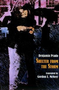 Produktbild: Shelter from the Storm