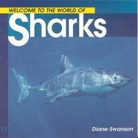 Produktbild: Welcome to the World of Sharks