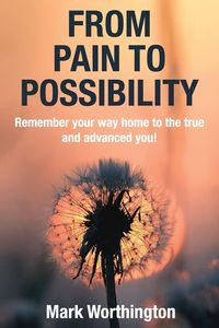 Produktbild: From Pain To Possibility