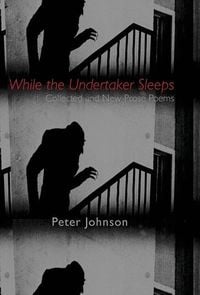 Produktbild: While the Undertaker Sleeps