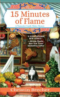 Produktbild: 15 Minutes of Flame