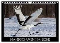 Produktbild: Mandschurenkraniche (Wandkalender 2027 DIN A4 quer), CALVENDO Monatskalender