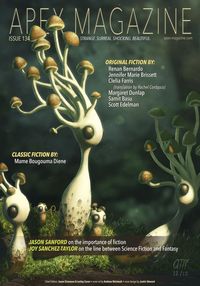 Produktbild: Apex Magazine Issue 134