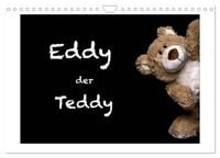 Produktbild: Eddy, der Teddy (Wandkalender 2026 DIN A4 quer), CALVENDO Monatskalender