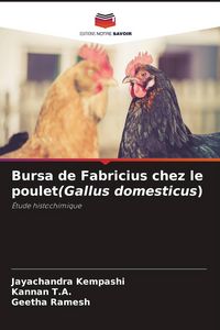 Produktbild: Bursa de Fabricius chez le poulet(Gallus domesticus)