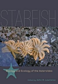 Produktbild: Starfish