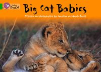 Produktbild: Collins Big Cat Big Cat Babies