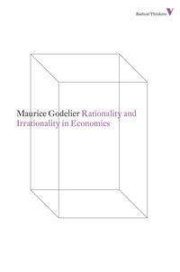 Produktbild: Rationality and Irrationality in Economics