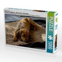 Produktbild: CALVENDO Puzzle Rhodesian Ridgeback H&uuml;ndin | 1000 Teile Lege-Gr&ouml;&szlig;e 64x48cm Foto-Puzzle f&uuml;r gl&uuml;ckliche Stunden