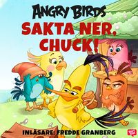 Produktbild: Angry Birds - Sakta ner, Chuck!