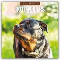 Produktbild: Rottweilers &ndash; Rottweiler 2027 &ndash; 16-Monatskalender