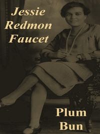 Produktbild: Plum Bun: A Novel Without a Moral