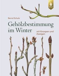 Bild vom Artikel Gehölzbestimmung im Winter vom Autor Bernd Schulz