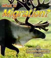 Bild vom Artikel What Is Migration? vom Autor John Crossingham