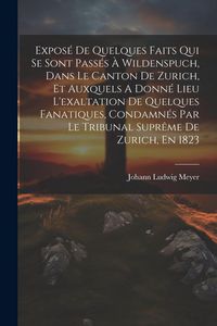 Produktbild: Expos&eacute; De Quelques Faits Qui Se Sont Pass&eacute;s &Agrave; Wildenspuch, Dans Le Canton De Zurich, Et Auxquels A Donn&eacute; Lieu L'exaltation De Quelques Fanatiques, Con