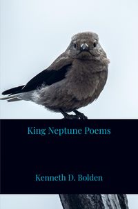 Produktbild: King Neptune Poems
