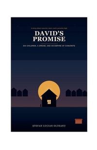 Produktbild: DAVID'S PROMISE