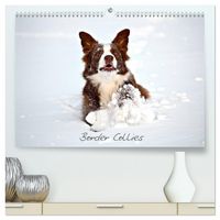 Produktbild: Border Collies (hochwertiger Premium Wandkalender 2026 DIN A2 quer), Kunstdruck in Hochglanz