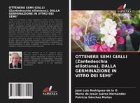 Produktbild: Ottenere Semi Gialli (zantedeschia Elliotiana), Dalla Germinazione in Vitro Dei Semi"