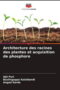 Produktbild: Architecture des racines des plantes et acquisition de phosphore