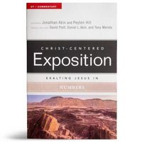 Produktbild: Exalting Jesus in Numbers