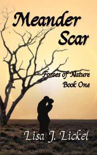 Produktbild: Meander Scar