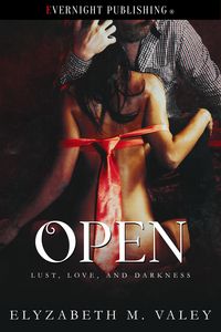 Produktbild: Open (Lust, Love, and Darkness, #1)