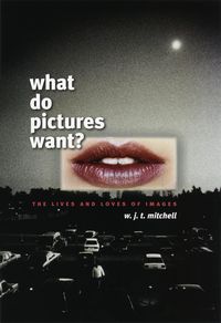 Produktbild: What Do Pictures Want?