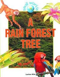 Produktbild: A Rain Forest Tree