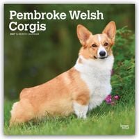 Produktbild: Pembroke Welsh Corgis &ndash; Pembroke Welsh Corgi 2027 &ndash; 16-Monatskalender