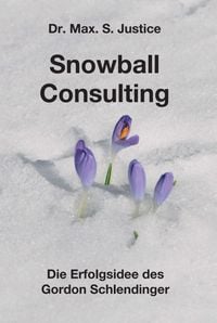 Produktbild: Snowball Consulting