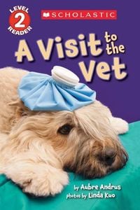 Produktbild: Visit To The Vet