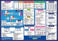 Produktbild: mindmemo Lernposter - Les pronoms - Die franz&ouml;sischen Pronomen - Franz&ouml;sische Grammatik lernen f&uuml;r Kinder und Erwachsene