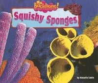 Produktbild: Squishy Sponges