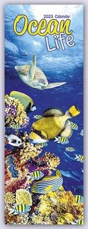 Produktbild: Ocean Life - Lebendige Unterwasserwelt 2023