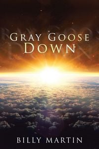 Produktbild: Gray Goose Down