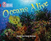 Produktbild: Big Cat - Oceans Alive