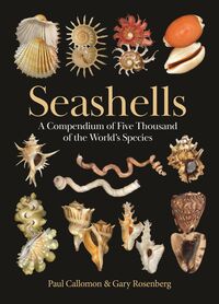Produktbild: Seashells