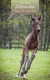 Produktbild: Zitr&ouml;nchen
