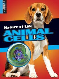 Produktbild: Animal Cells