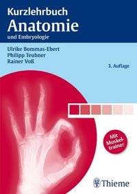 Produktbild: Kurzlehrbuch Anatomie